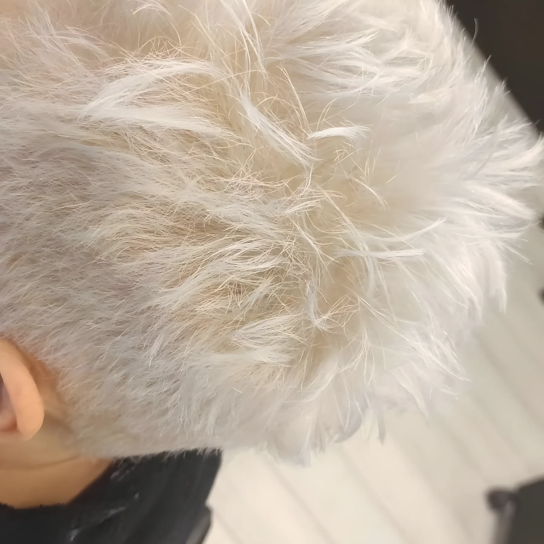 Taglio corto con colore ice